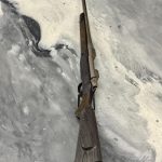 IMG_9176
