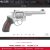 Ruger .22