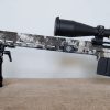 Lapua Picture