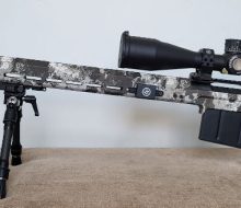 Lapua Picture