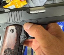 Dan Wesson (1)