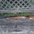 DSC2265 DSC2265