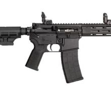 m4-22 Pistol brace 1