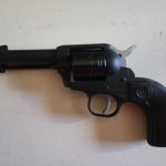 Ruger Wrangler .22LR Revolver