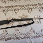 Ruger M77