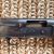 IMG_2496