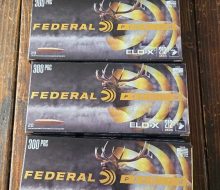 1000010282