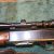 Bushnell scope
