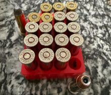 IMG_8996
