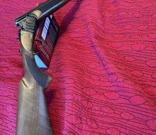 IMG_20260818_190519