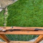IMG_0161