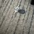 IMG_9944 IMG_9944