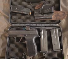 331