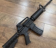 Colt