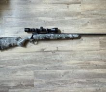 Savage 308