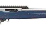 Ruger 1022 blue 250th