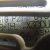 RIMG1517