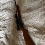 IMG_6878