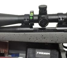 Bergara action left