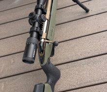 IMG_8478