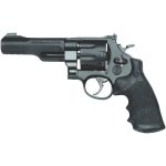 S&W TRR8