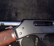66
