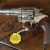 Colt Viper, Nickel.10 Colt Viper, Nickel.10