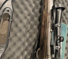 Bills guns 1