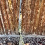 IMG_2861