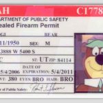 ccw permit Yogi