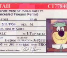 ccw permit Yogi