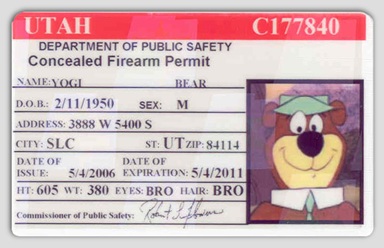ccw permit Yogi ccw permit Yogi