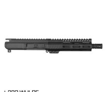 PI-P-223W-66266-1
