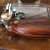 Colt Diamondback 38 Special.19 Colt Diamondback 38 Special.19