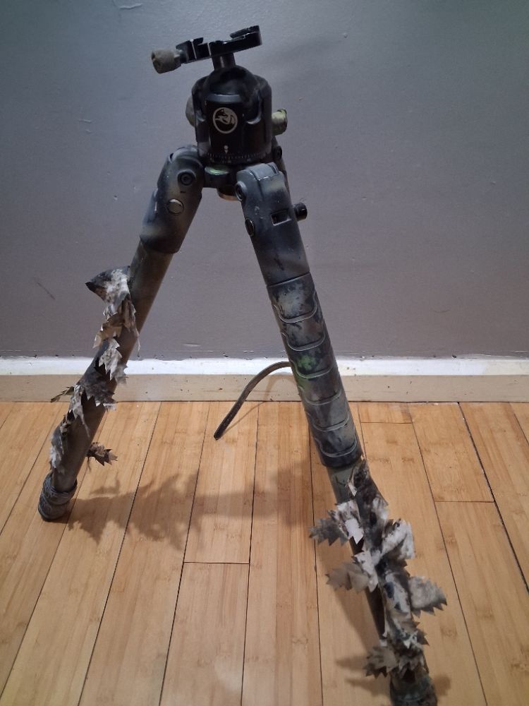 204 204