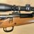 Remington CDL 4