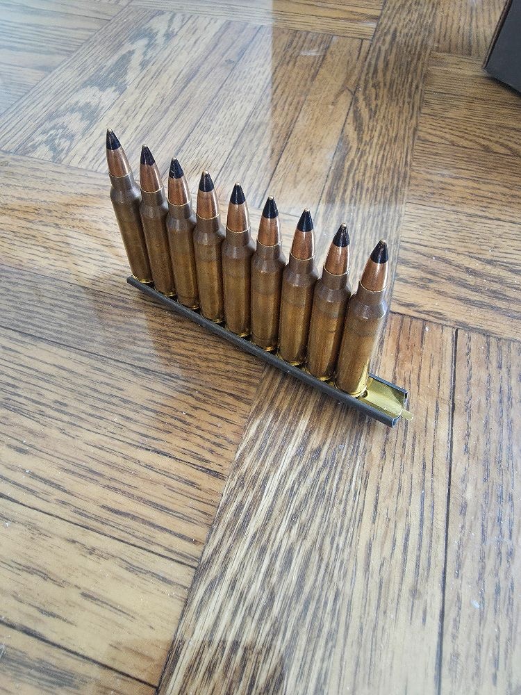 M599 M599