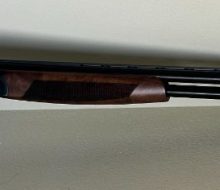 CZ Cropped