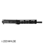 PI-P-223W-66298-1