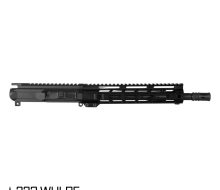 PI-P-223W-66298-1