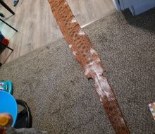 79486
