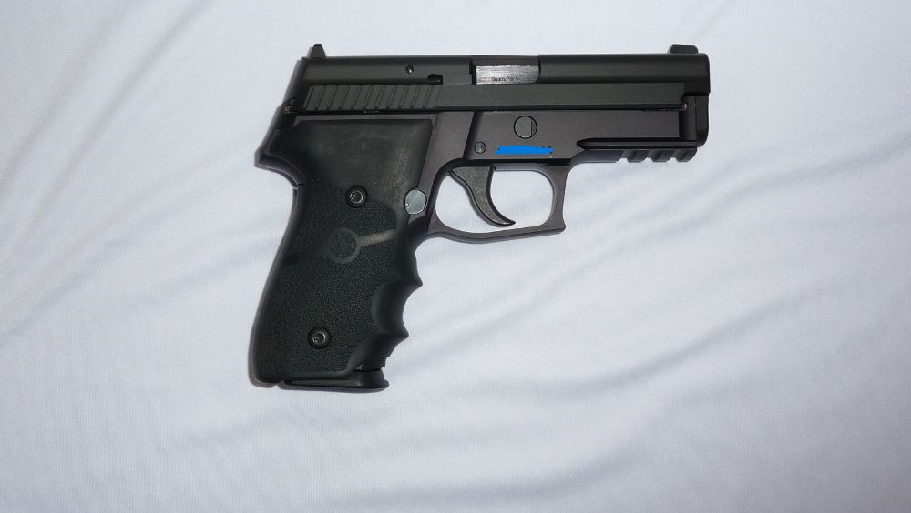 P229R (DAK) 01 (No Serial nbr) P229R (DAK) 01 (No Serial nbr)
