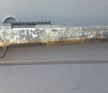 cva2 right