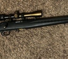 Ruger Am 1