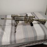 AR 1