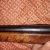Shotgun 1