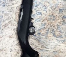 ruger1022blk