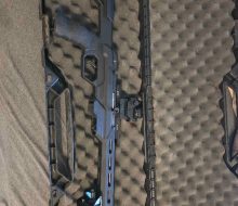 Savage 1