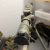 image3 image3