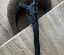 IMG_1184